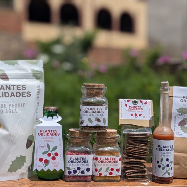 Xerrada amb degustació, “La cuina del bosc: l’aglà”